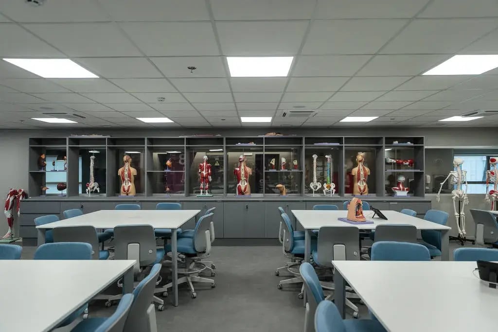 Grande sala com itens medicos e bonecos anatomicos